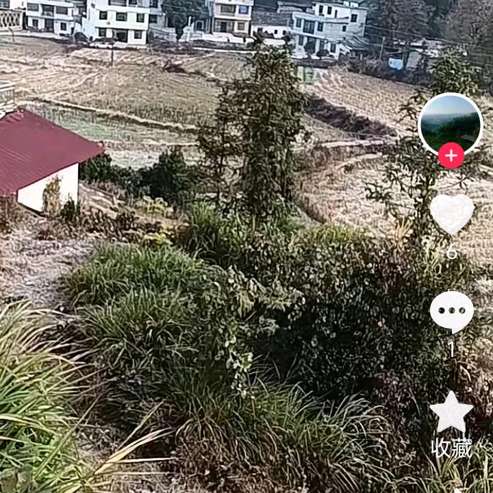 A加十