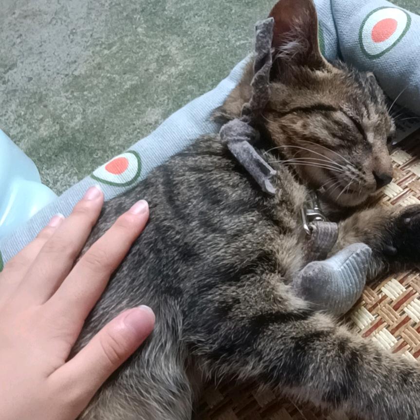 用户要求
