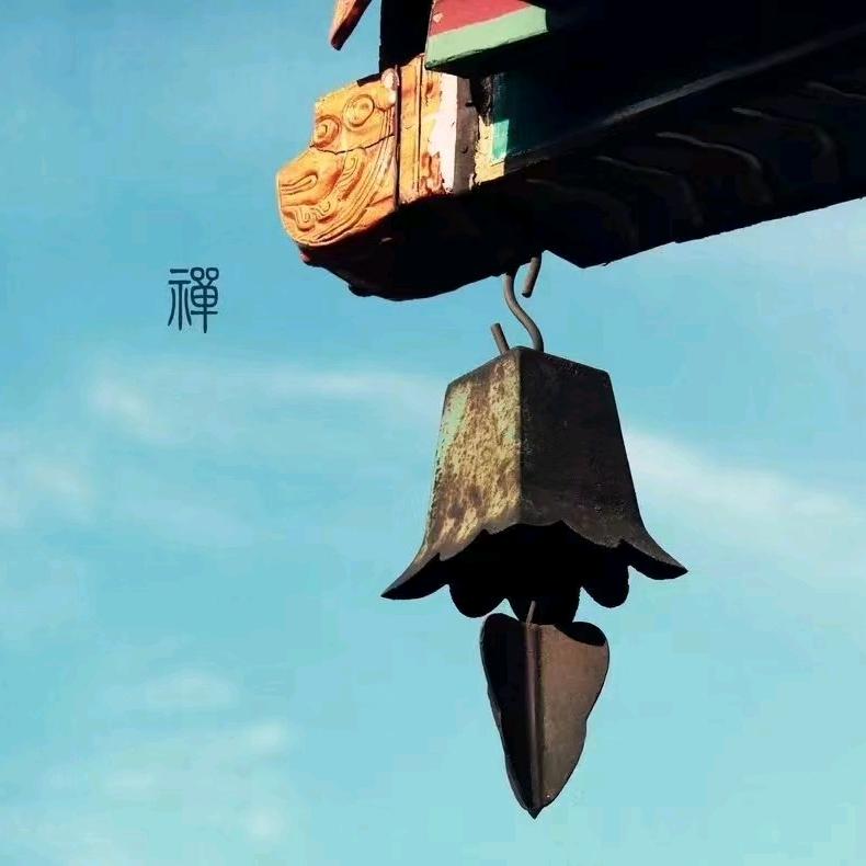 仗剑走天涯8555