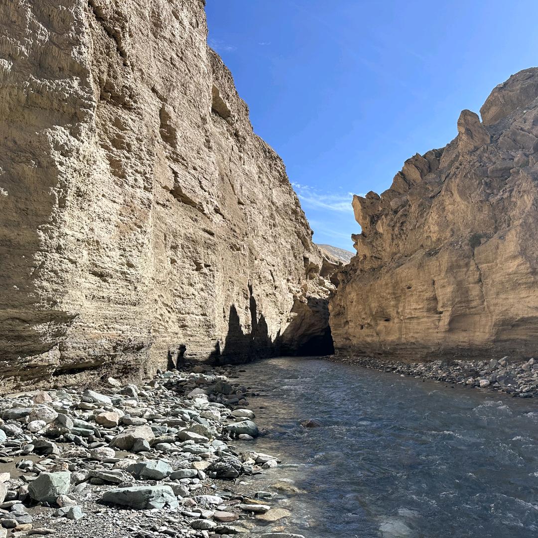 🥂人间清醒🥂