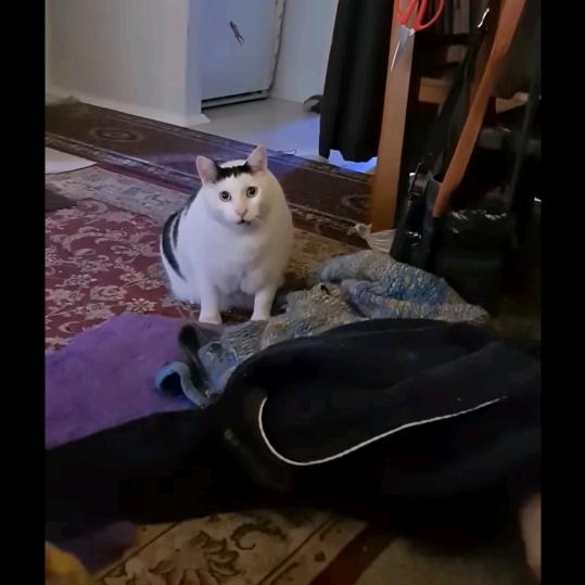我我我