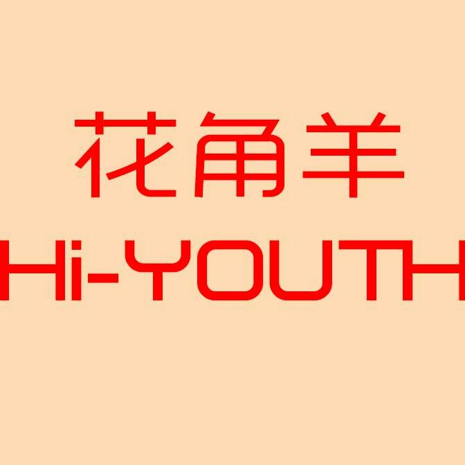 花角羊行车记录仪企业店