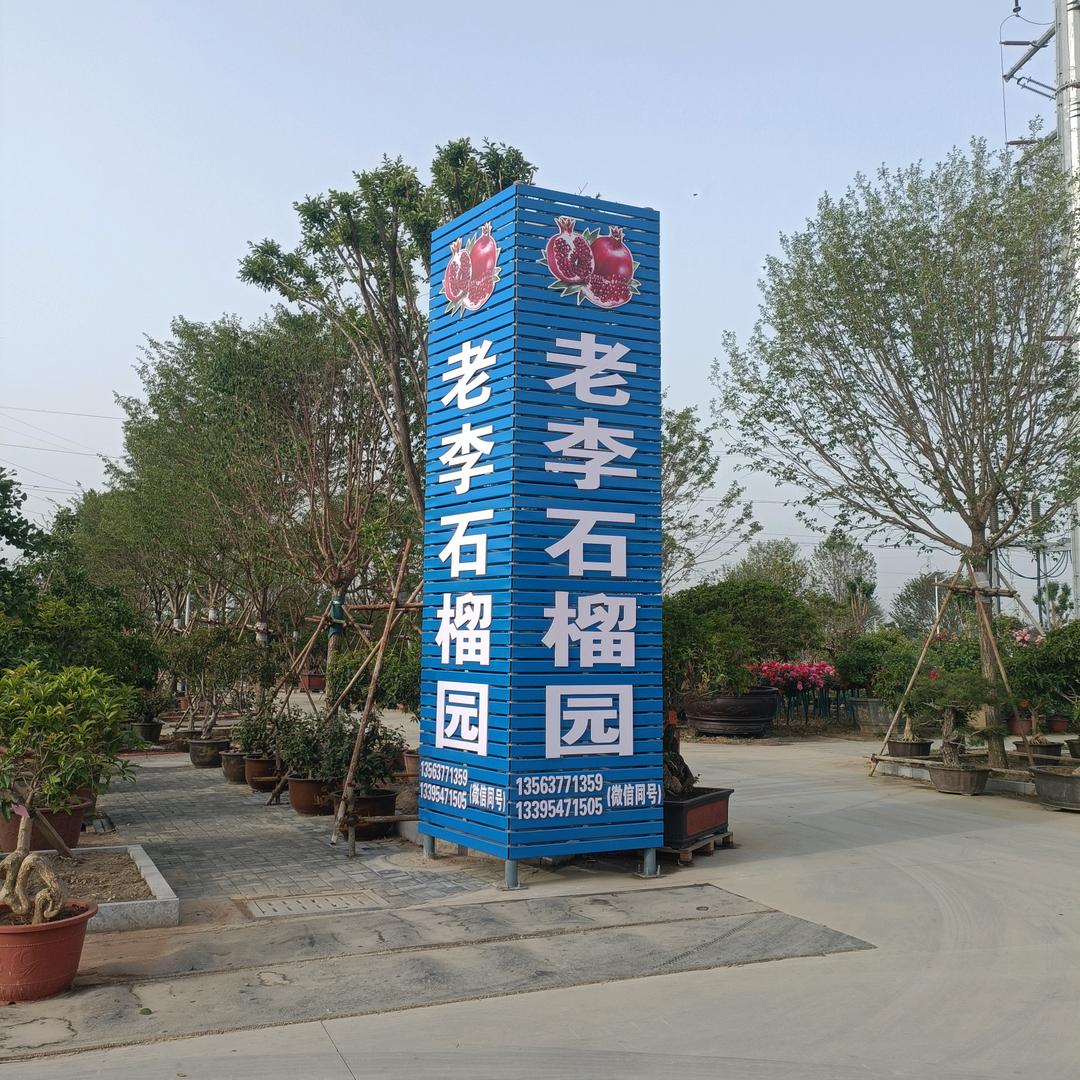 李素贵园艺花卉精选店