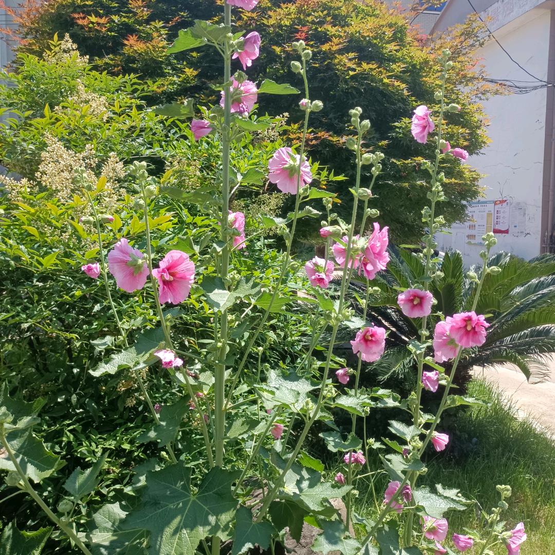 时间能说明一切