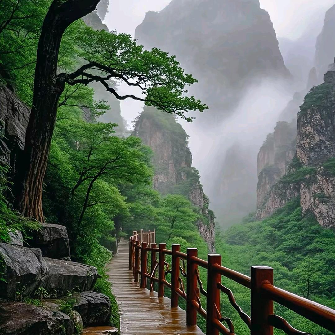 添屹的31直播号