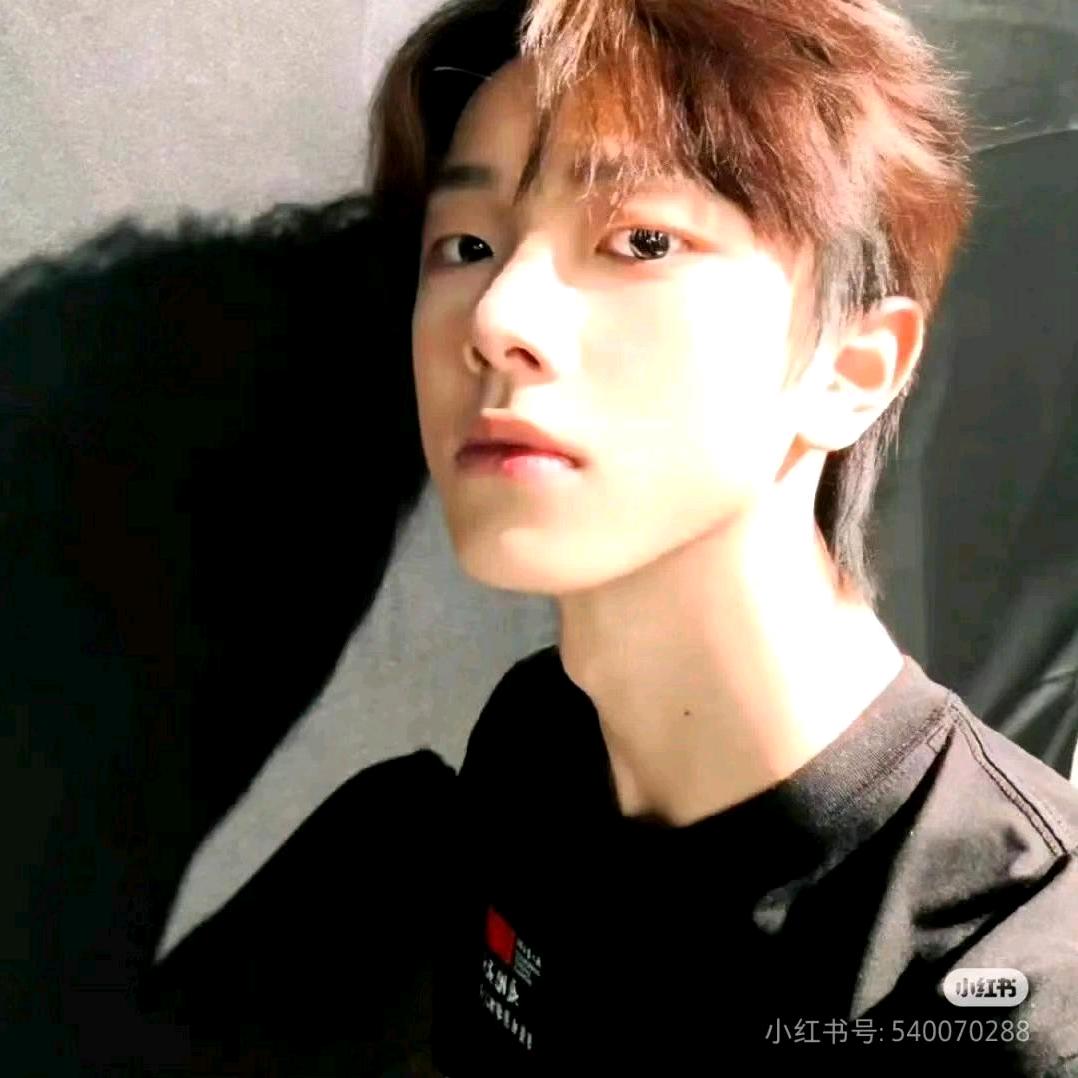 杨代全