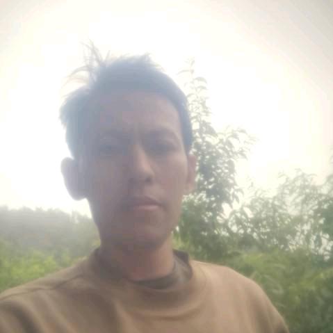 种植农场