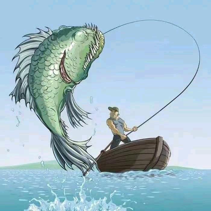 杭城水产沃兄（钓场鱼种直供）