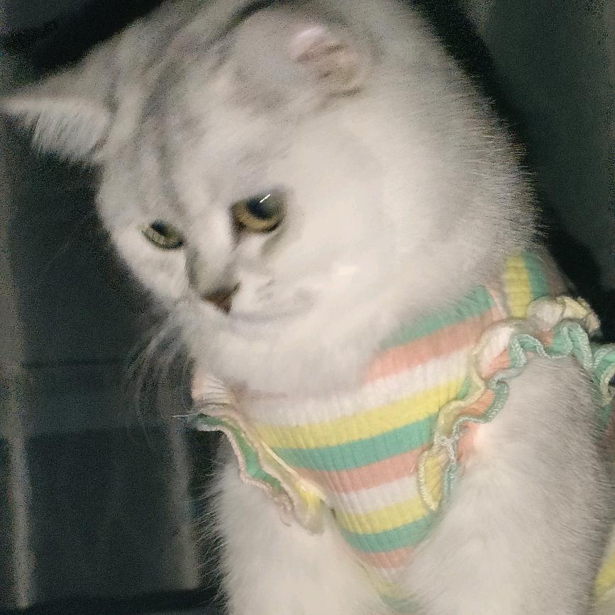 🌈baby吓刘女士🍀
