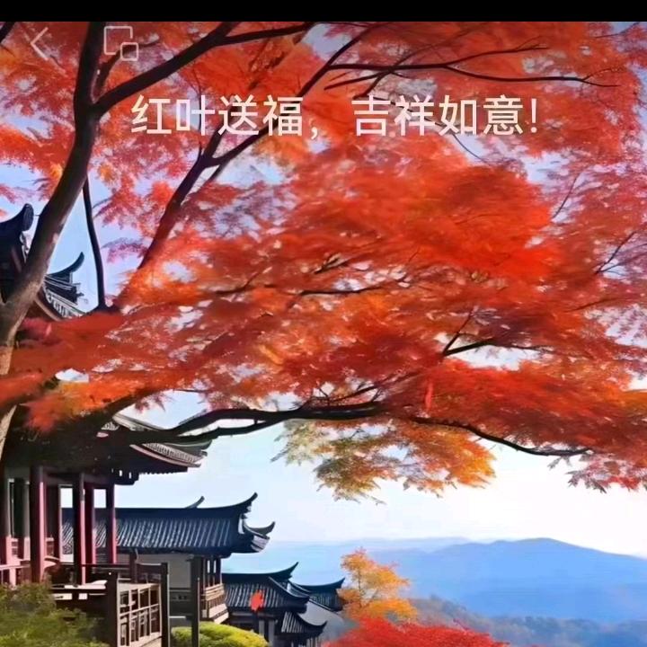 枫叶红🍁🍁🍁