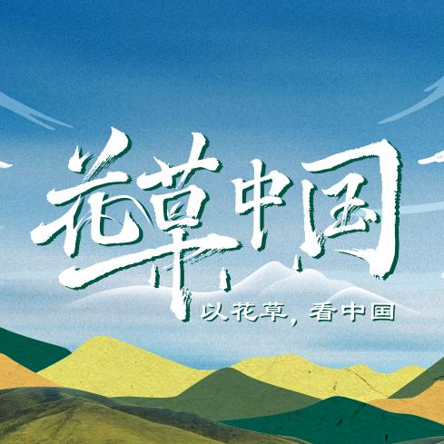 花草中国