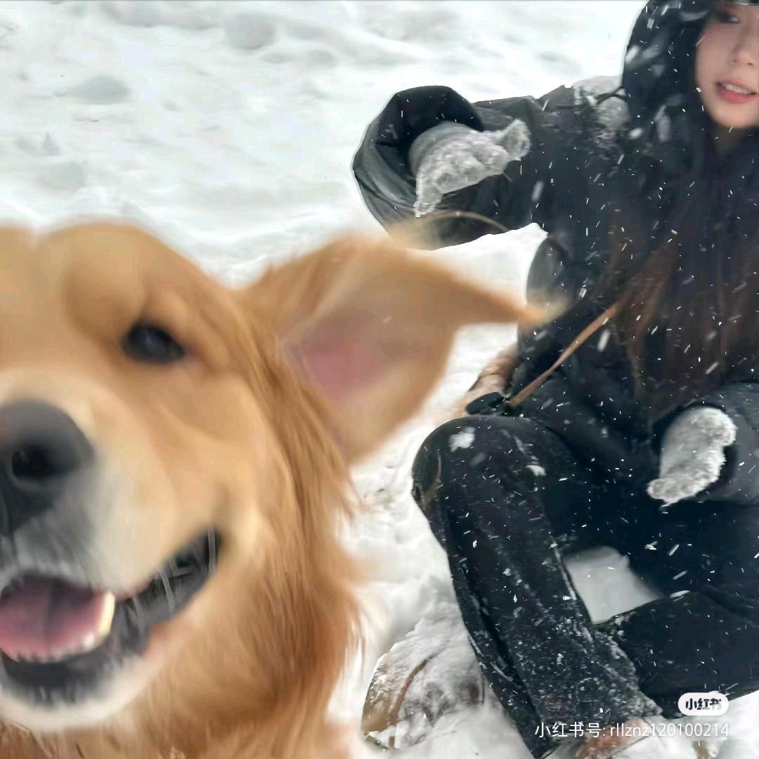 树懒开游艇