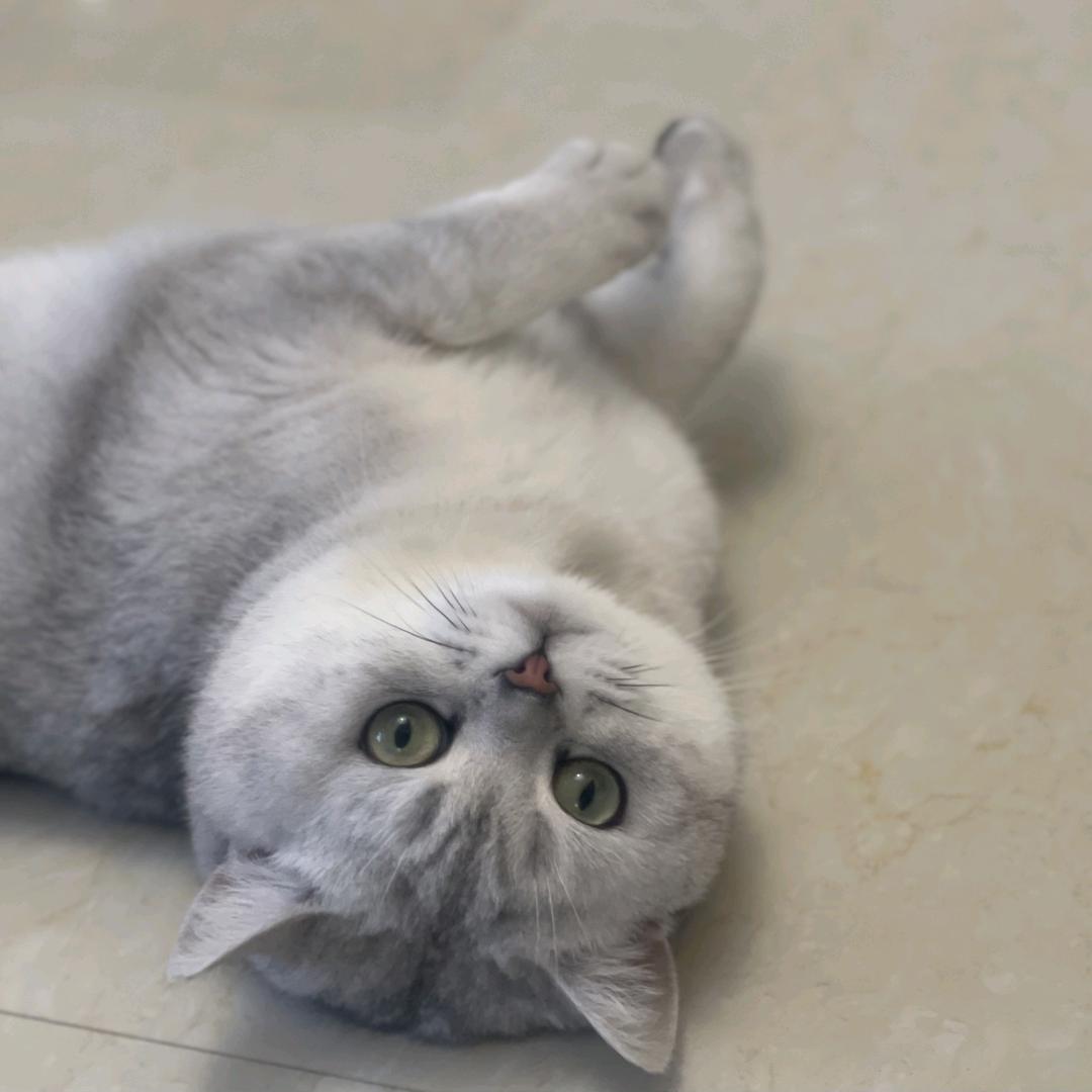 静