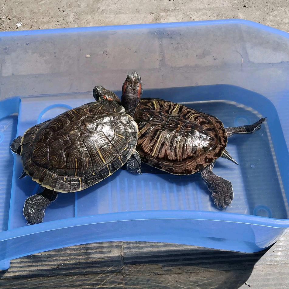 °꒰午夜'ꀾ'独行꒱°🚶