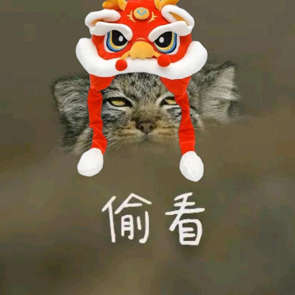 鬼狸猫