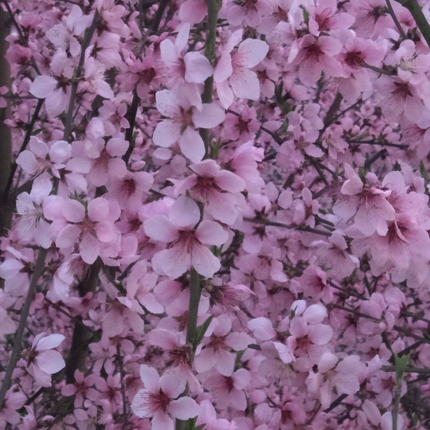封心锁爱❤️