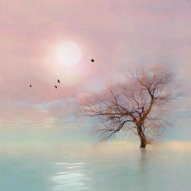 💗᭄ღᩚ和光᭄ৡᩚ࿐💗: 💗᭄ღᩚ