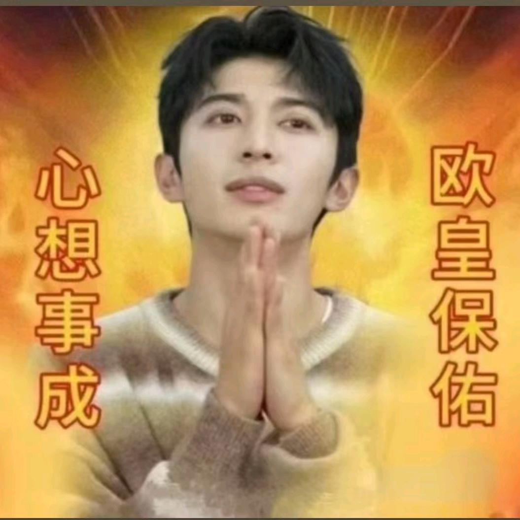 一只萨摩耶