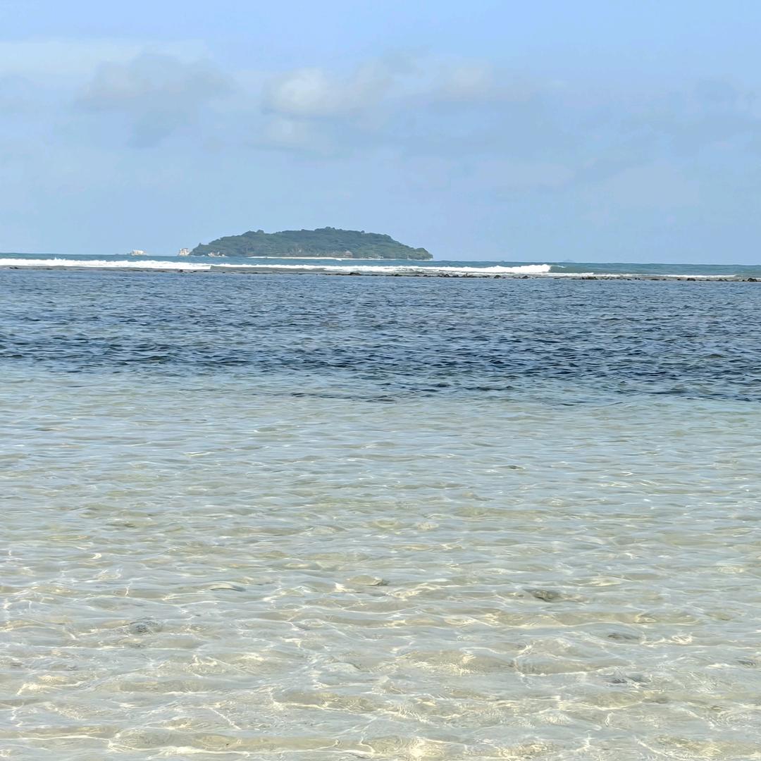 喜家益黄金姜母鸭