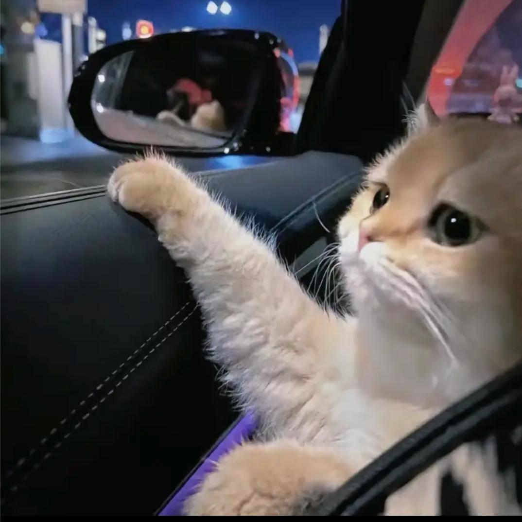 我和草原有个约定