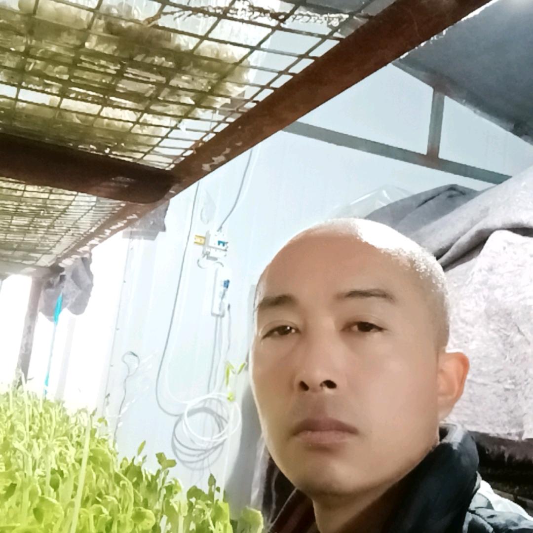 不做落后人