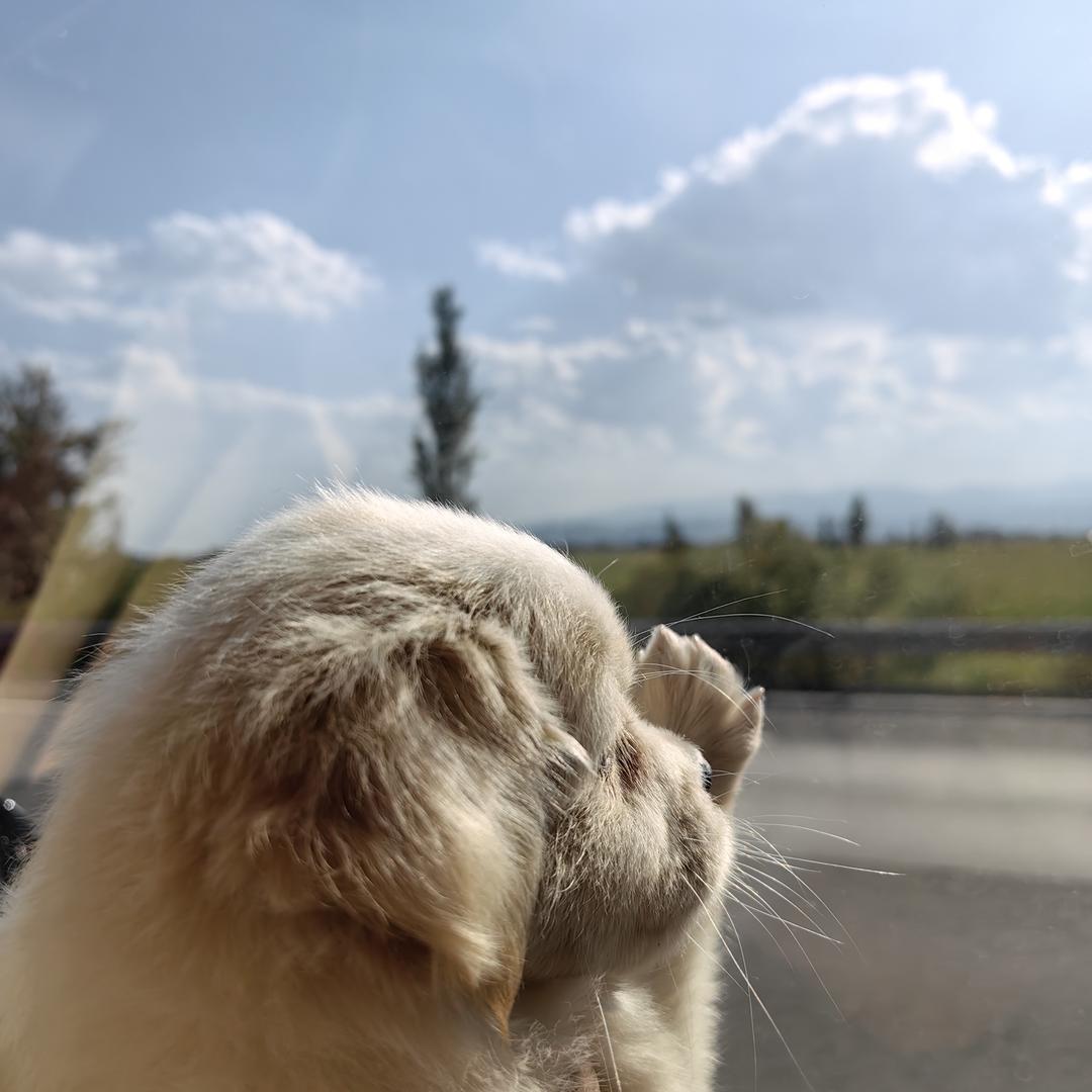 小熊维尼ᵔᴥᵔ