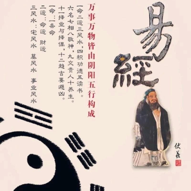 山东崔哥