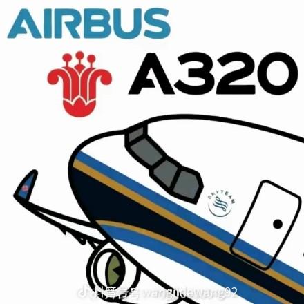 一架准备降落的南航A320✈️