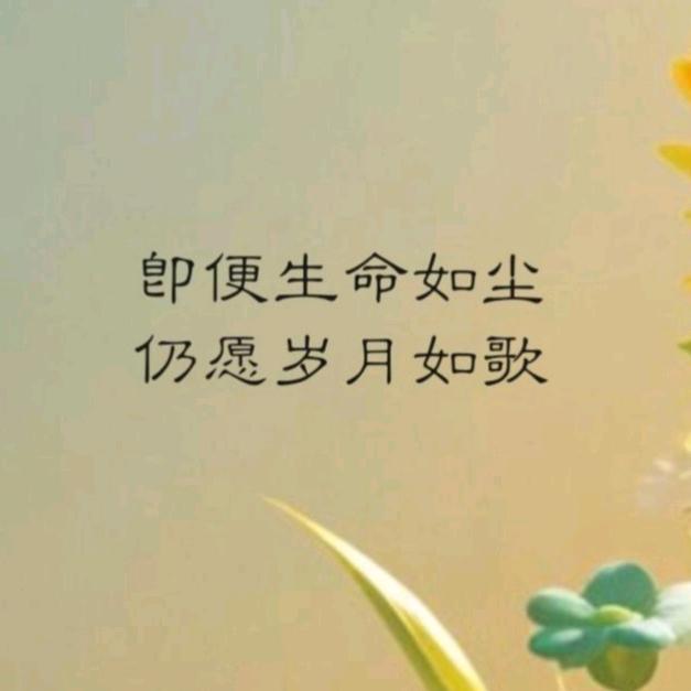 皖北中学董老师