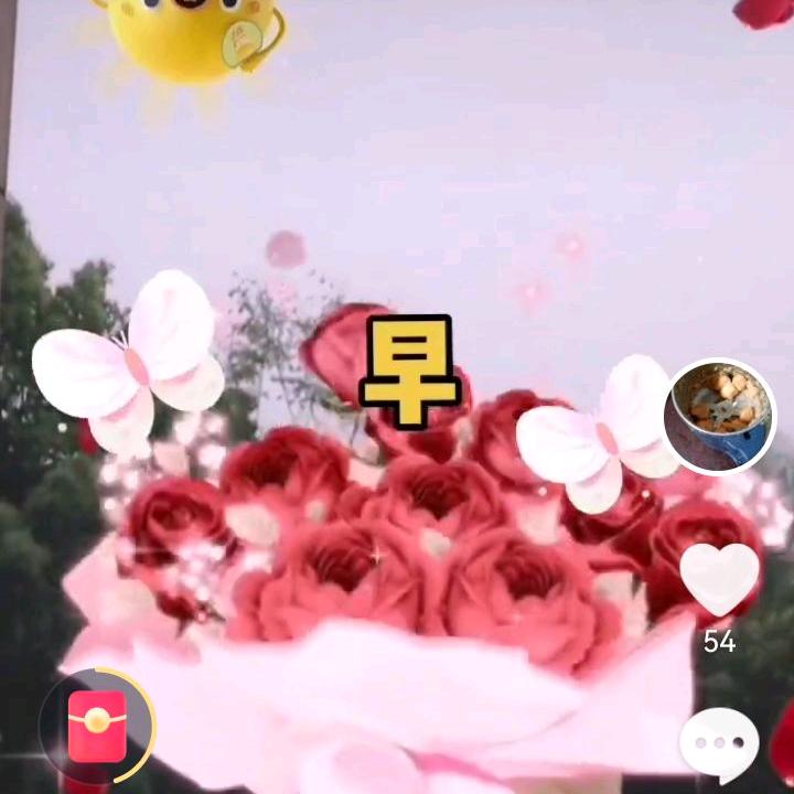 成红