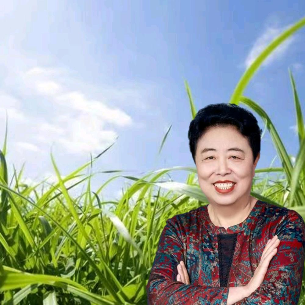 玲姐—书屋