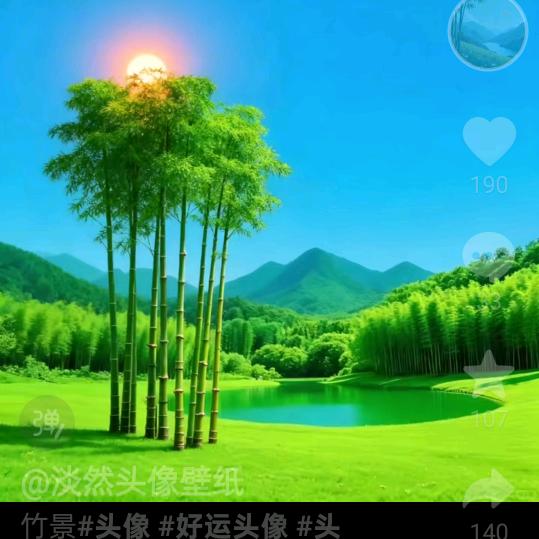 梅花YM