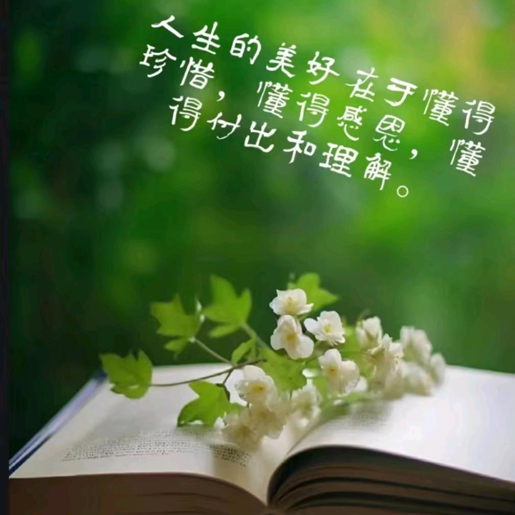飞翔