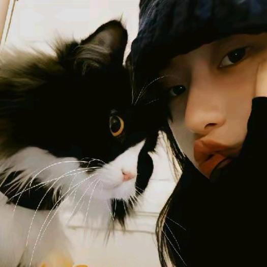 取名叫做珍惜💤