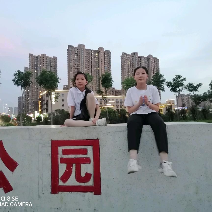 张晓琴