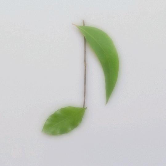🌻蜜兔☞L