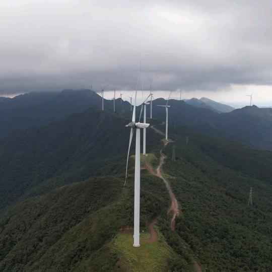 站在丛林链顶端