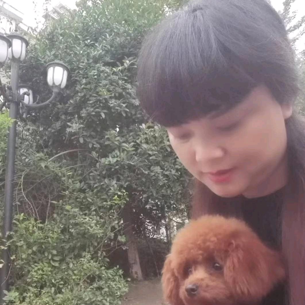 蓉姐