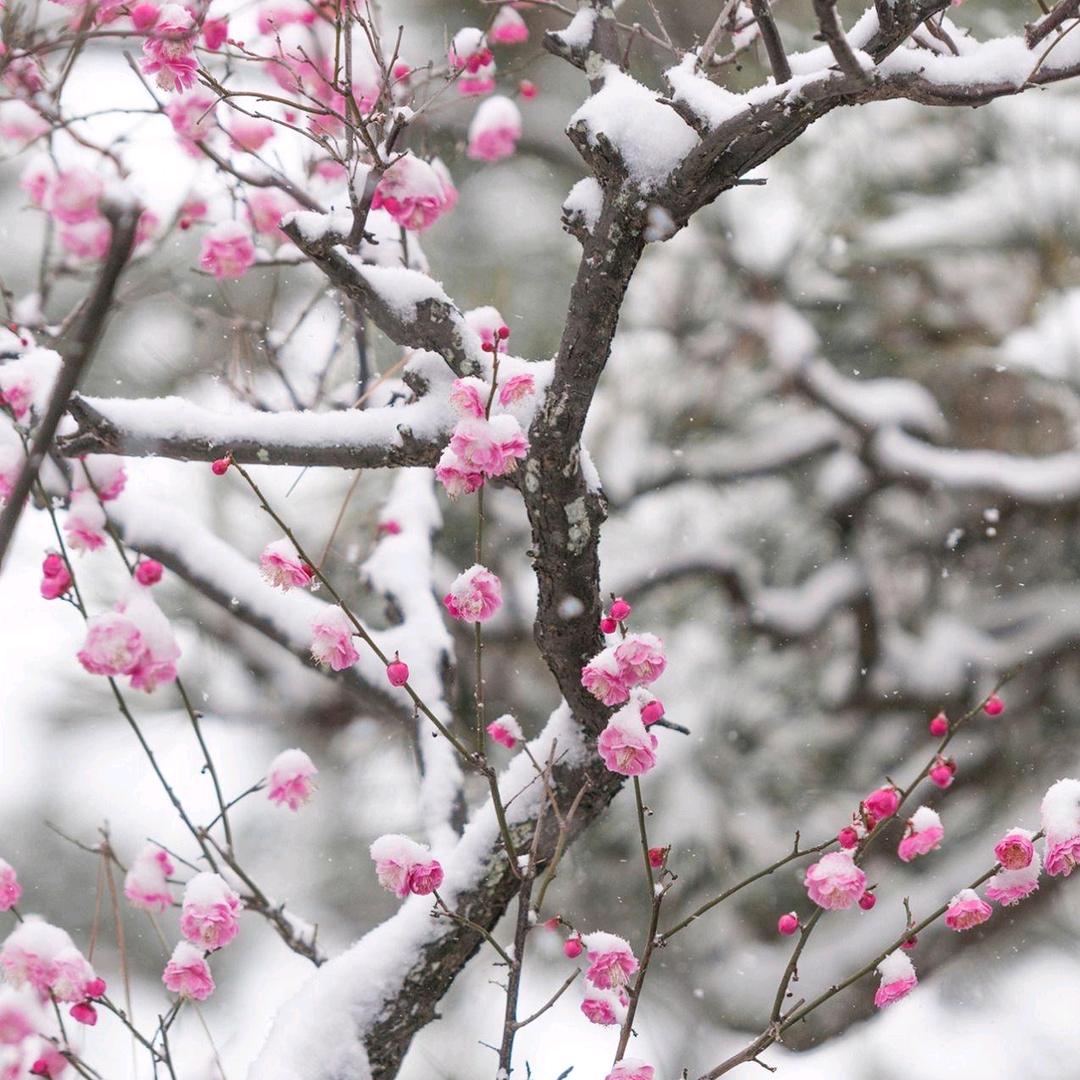 快快乐乐🇨🇳🌊⚓️🇨🇳