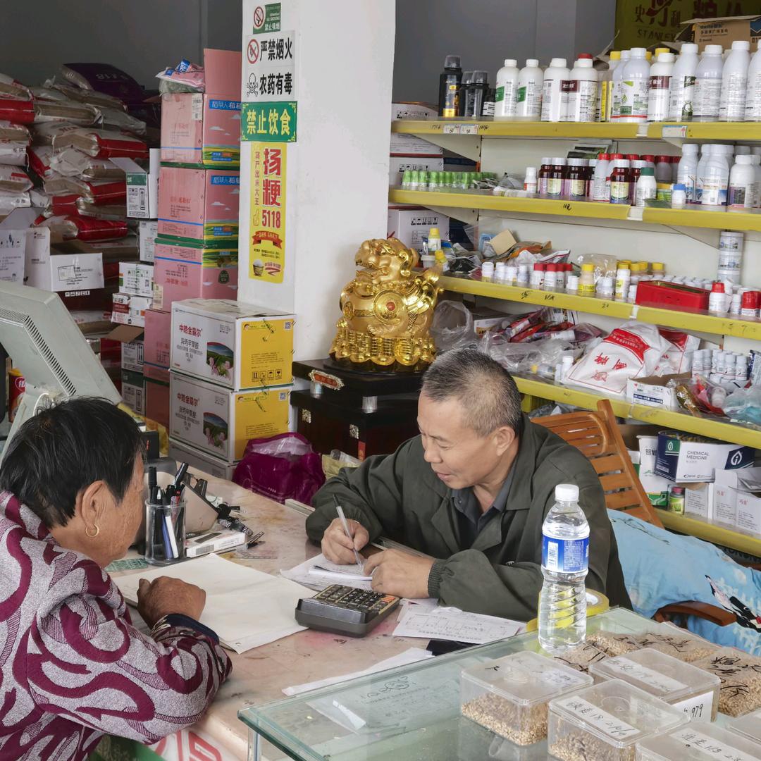 射阳县陈洋亚飞种业