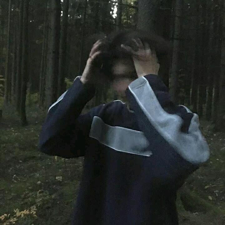 树上有只熊阿