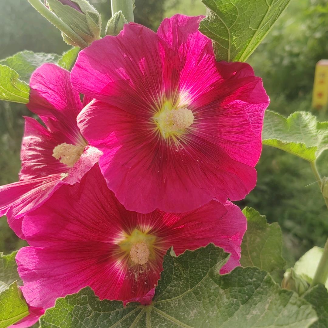 设备安装黄秀军