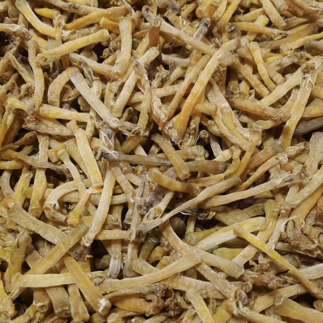 黑土捕鱼