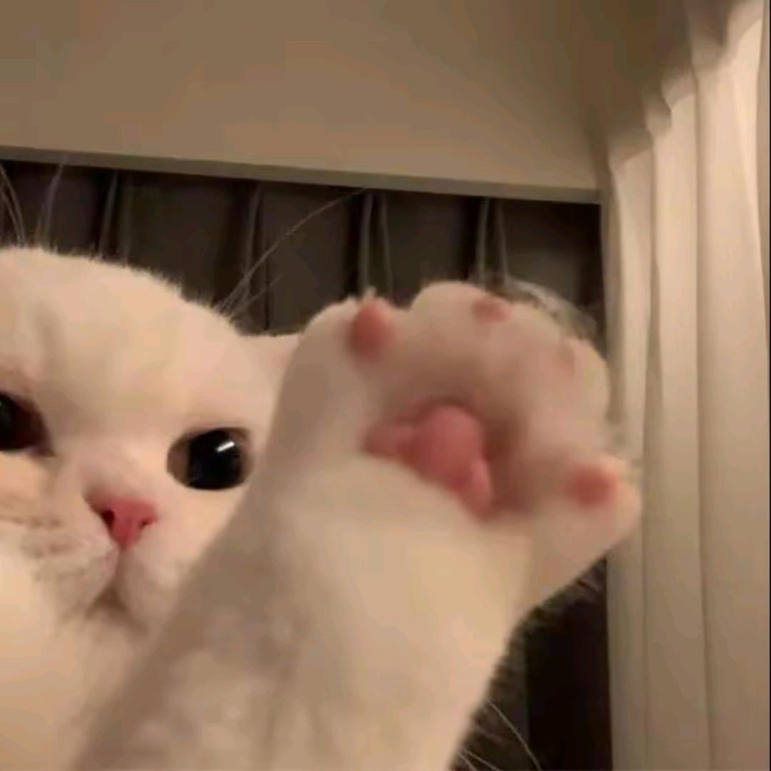 我就一个潼