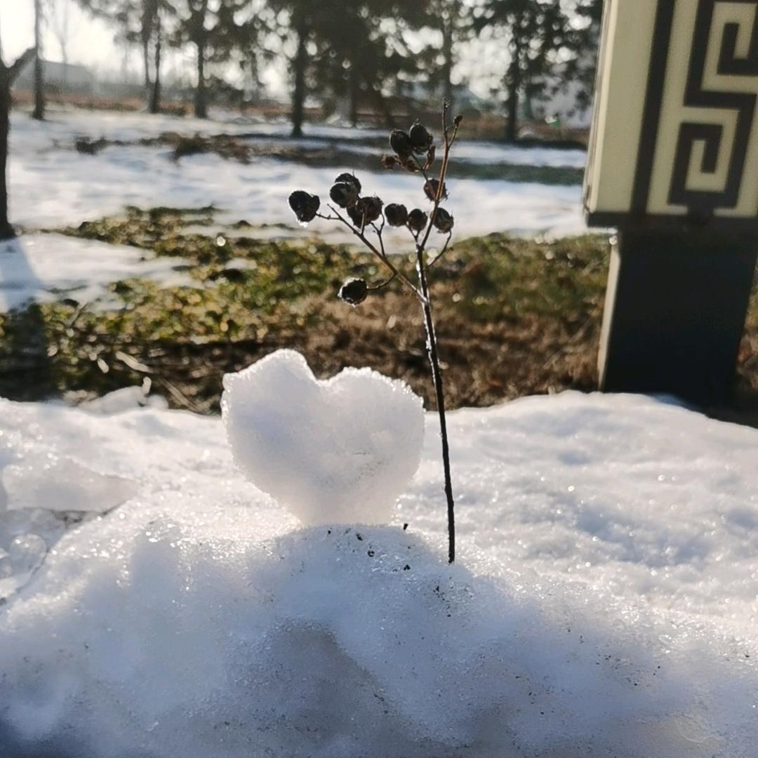 捌零后小茶馆