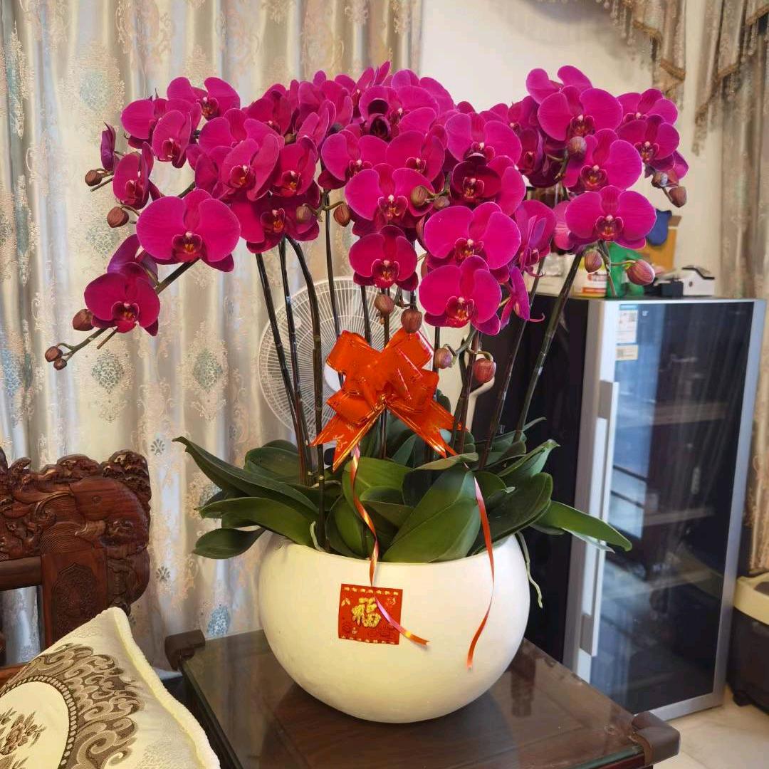 长安弱电+广告装修