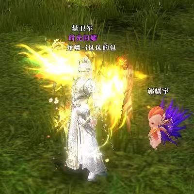 包啊包包-御龙在天