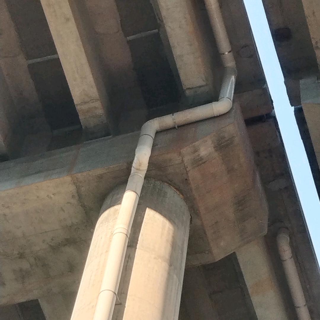 满身情歌味