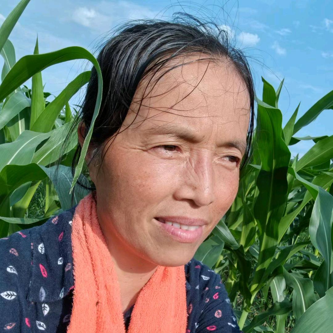 农村阿芬