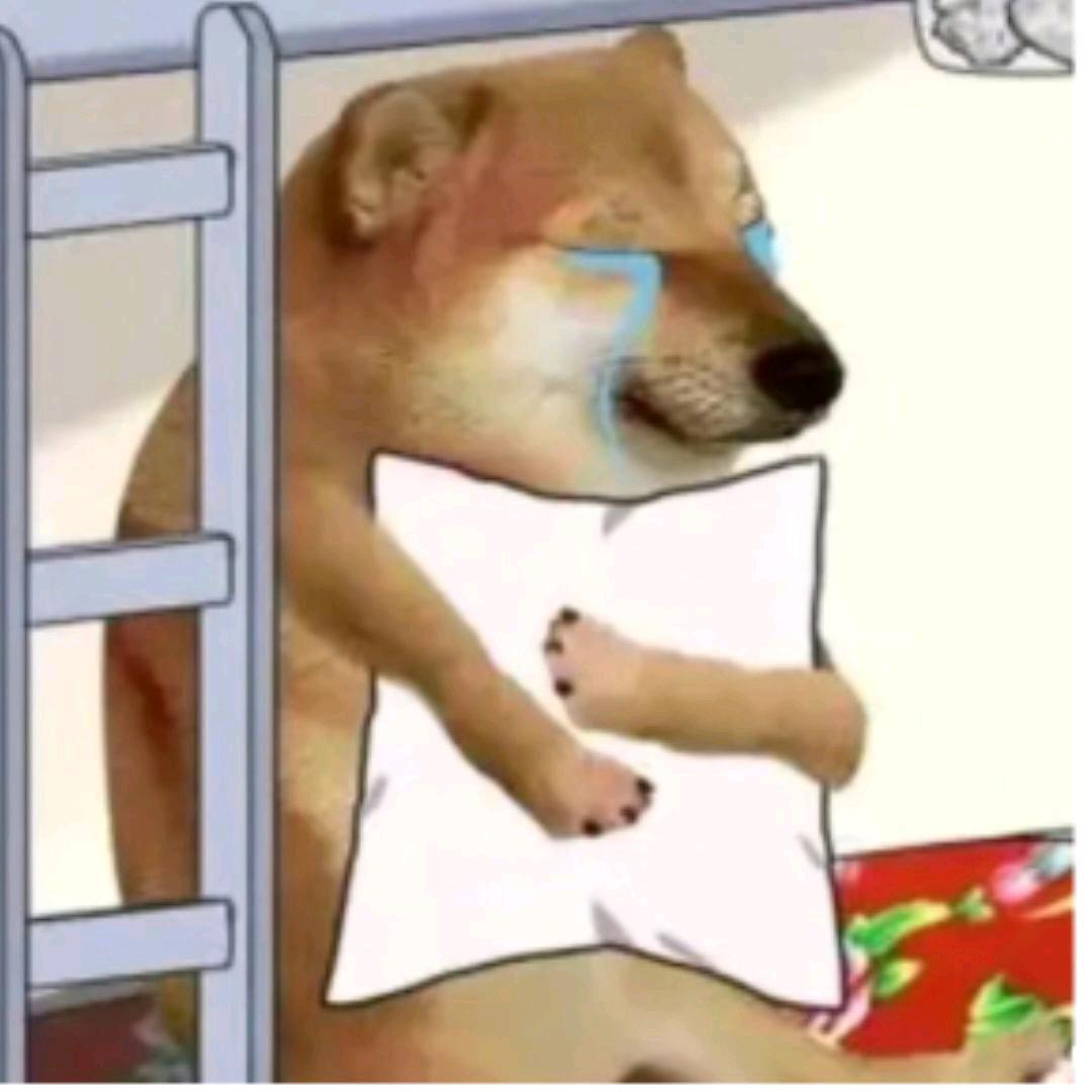 二狗狗狗狗狗狗